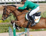 GOVONI WINN WINN CampITA2013- S5 9009 : Campionati Italiani 2013, Cattolica, GOVONI GIANNI, Horse Riviera Resort, WINN WINN, foto di Stefano Secchi ©